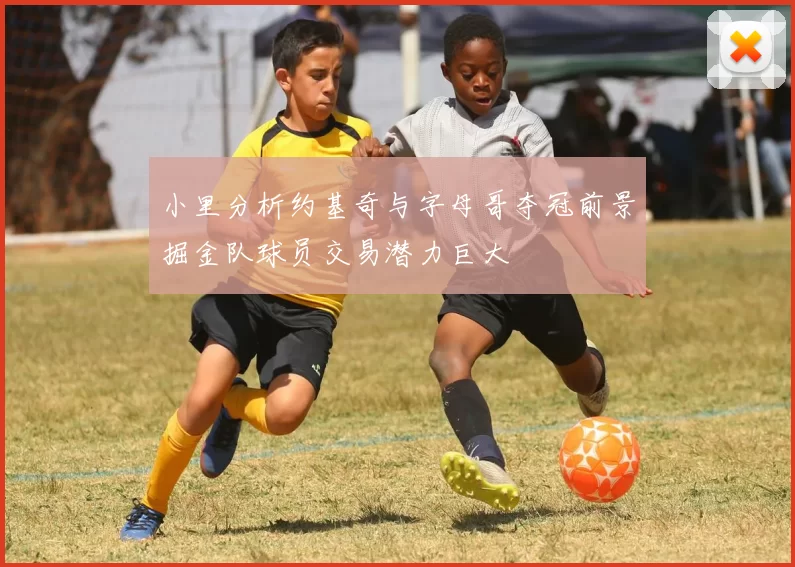 小里分析约基奇与字母哥夺冠前景掘金队球员交易潜力巨大
