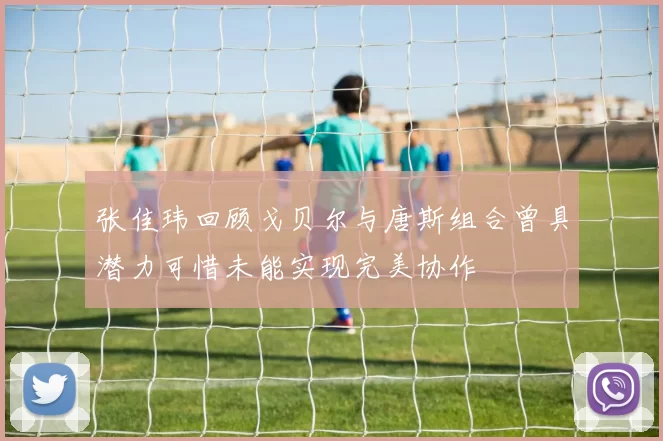 张佳玮回顾戈贝尔与唐斯组合曾具潜力可惜未能实现完美协作