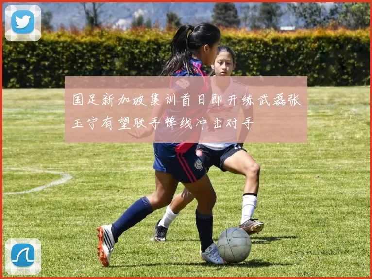 国足新加坡集训首日即开练武磊张玉宁有望联手锋线冲击对手